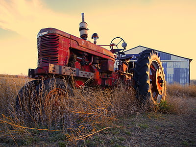 red tractor on dry grass thumbnail