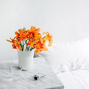 orange petaled flowers on white vase beside cup thumbnail