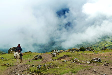 person riding on white horse thumbnail