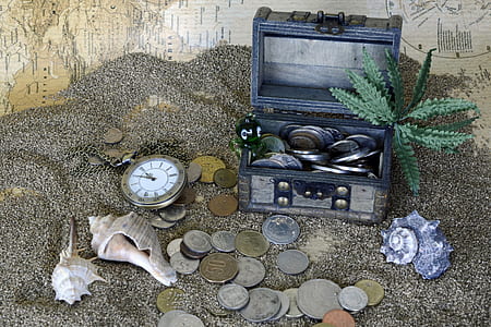 Gray Wooden Coin Box With Green Leaf Plant on Gray Sand thumbnail
