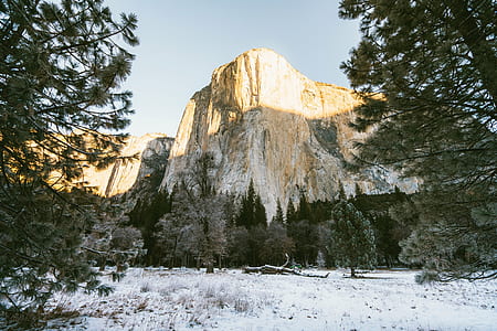 pine trees under brown mountain thumbnail