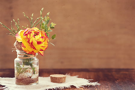 yellow and red flowers in clear glass vase thumbnail