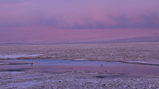 landscape photo of shoreline thumbnail