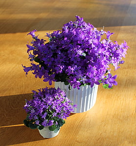 photo of purple petaled flower bouquet thumbnail