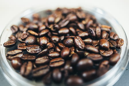 cup of coffee bean thumbnail