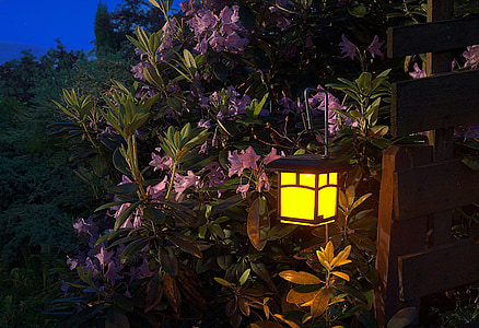 black and yellow steel lantern hanged near flowers thumbnail