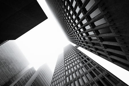 low angle and grayscale photo of skyscrapers thumbnail