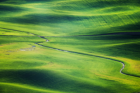 Green Grass Field thumbnail