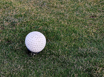 white gold ball in grass field thumbnail