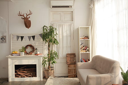 photo of green umbrella plants beside fireplace thumbnail