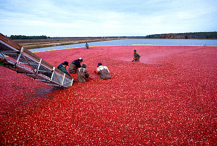people gathering on body of water thumbnail