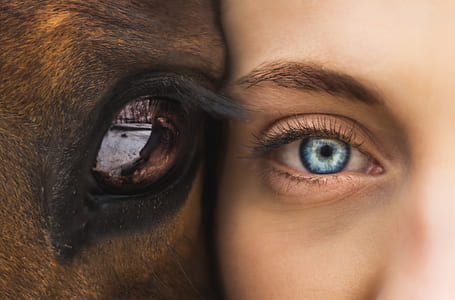 horse, woman, female, eyes thumbnail