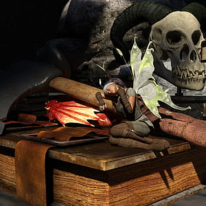 elf, dragon, fantasy, fairy tales, mythical creatures, scale thumbnail
