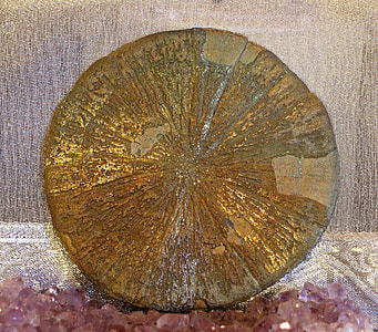 gold-colored coin thumbnail