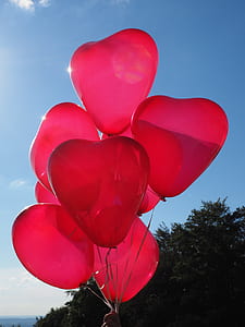 heart-shaped red balloons against sunlight thumbnail