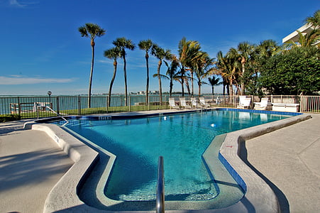 palm trees near swimming pool thumbnail