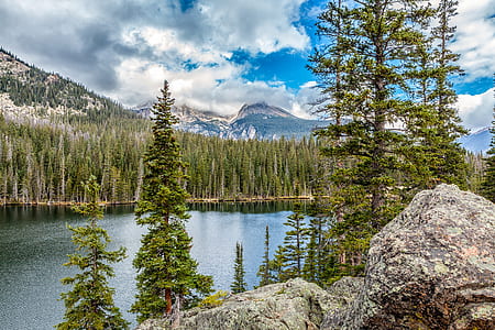 body of water between trees thumbnail