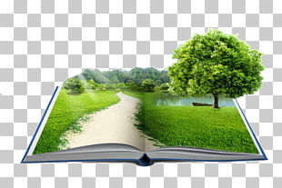 Fixed-rate mortgage Natural environment Mortgage loan JSC Federal Credit Union, Grass trees in books, green leafed tree illustration PNG clipart