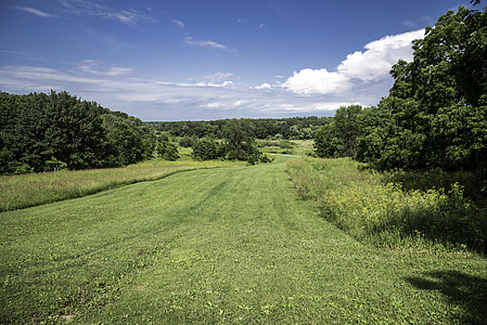 Scenic Landscape of grassy Trail at Camrock County Park thumbnail