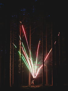 person holding firework under tall trees thumbnail