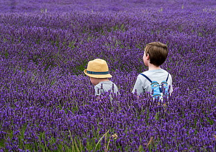 two children standing on lavender field at daytime thumbnail