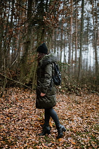 Autumn walk to the forest in foggy weather thumbnail