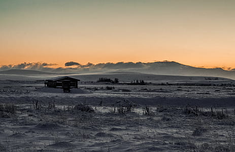 Grayscale Photo of Wooden Cabin in the Middle of Desert thumbnail