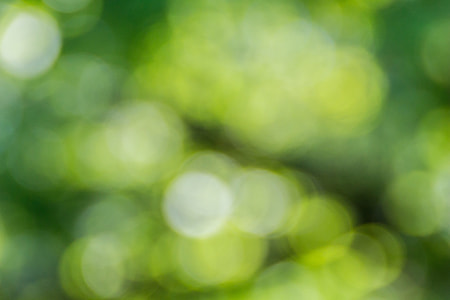 green, bokeh, defocused, nature thumbnail
