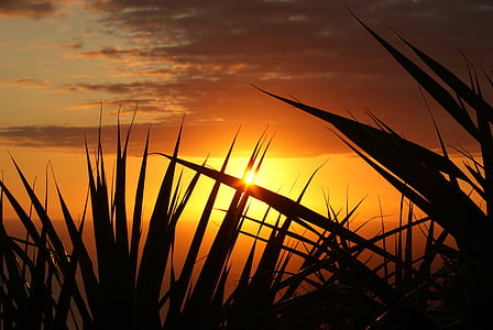 time lapse photography of sun thumbnail
