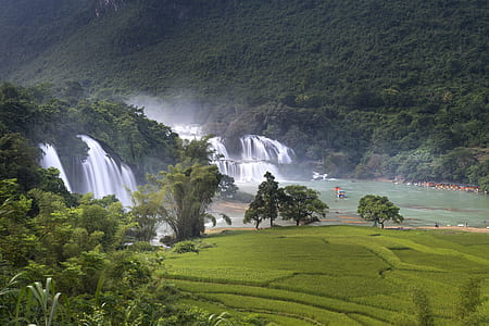trees and green field beside waterfalls thumbnail