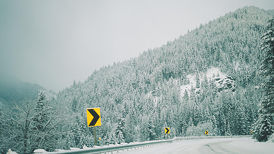 turn left road sign on barricade near pine trees on mountain thumbnail