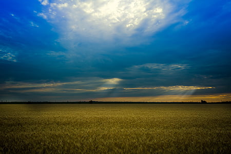 panoramic photo of field under blue and white sky thumbnail