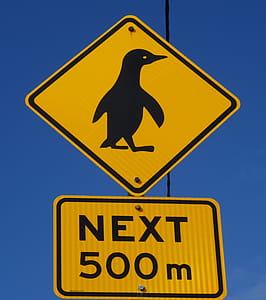 Warning to watch out for penguins crossing the road thumbnail