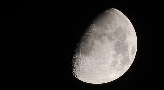 Gray Moon thumbnail