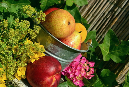 several assorted fruits thumbnail