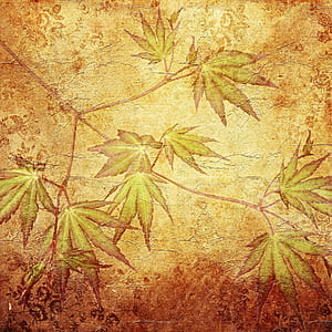 orange leaves thumbnail