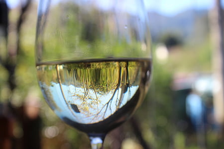 selective focus photography of half-filled water in wine glass thumbnail