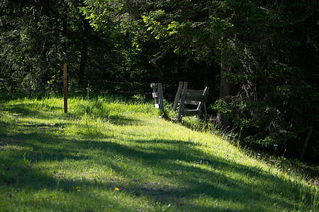 gray wooden fence on green grassy path thumbnail