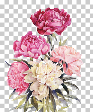 Peony Flower bouquet Illustration, Pink and red flowers, pink and white floral painting PNG clipart