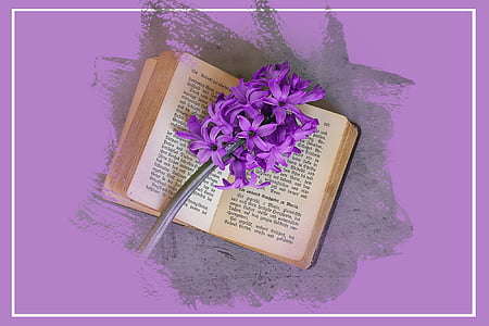 purple petaled flower on opened book thumbnail