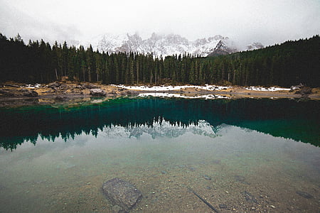 body of water surrounded with green pine trees thumbnail