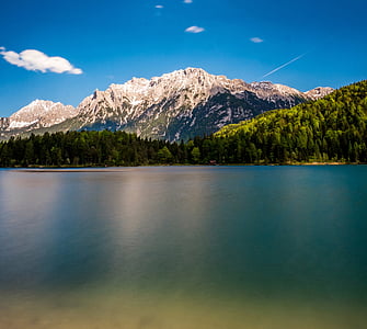 forest and rocky mountain thumbnail