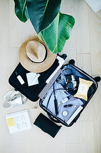 SLR camera on softside luggage thumbnail