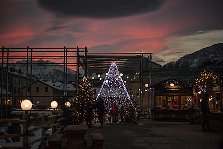 several trees covered with string lights on street thumbnail