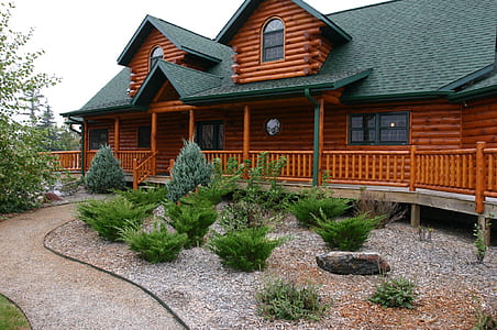 green plants near brown and gray wooden housd thumbnail