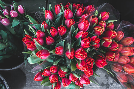 Bunches of flowers thumbnail