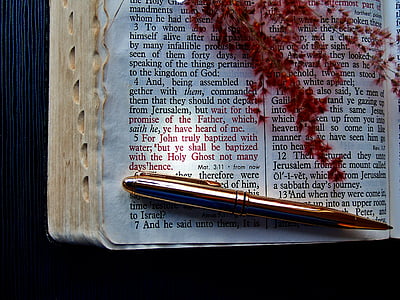 white Bible page thumbnail