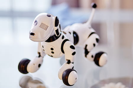 White and Black Dog Robot on Clear Glass Table thumbnail