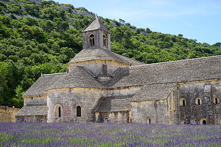 chapel beside purple flower field during daytime thumbnail