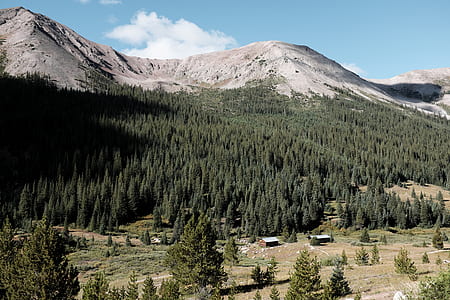 mountain surrounding trees under blue sky thumbnail